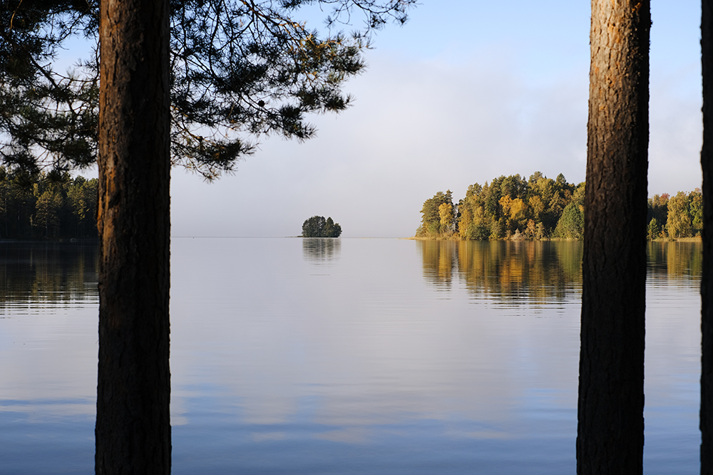 Autumn in Sweden, Nordic nature photograhy, www.Fenne.be