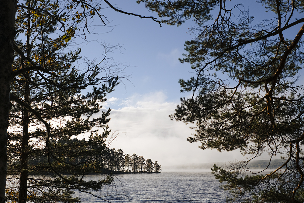 Autumn in Sweden, Nordic nature photograhy, www.Fenne.be