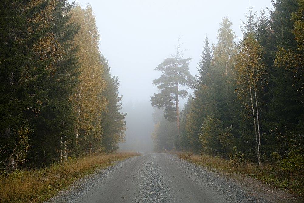 Autumn in Sweden, Nordic nature photograhy, www.Fenne.be