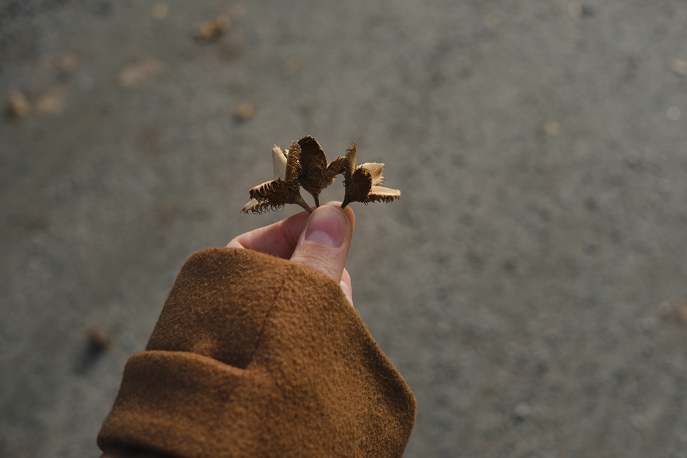 Autumn in Sweden, Nordic nature photograhy, www.Fenne.be