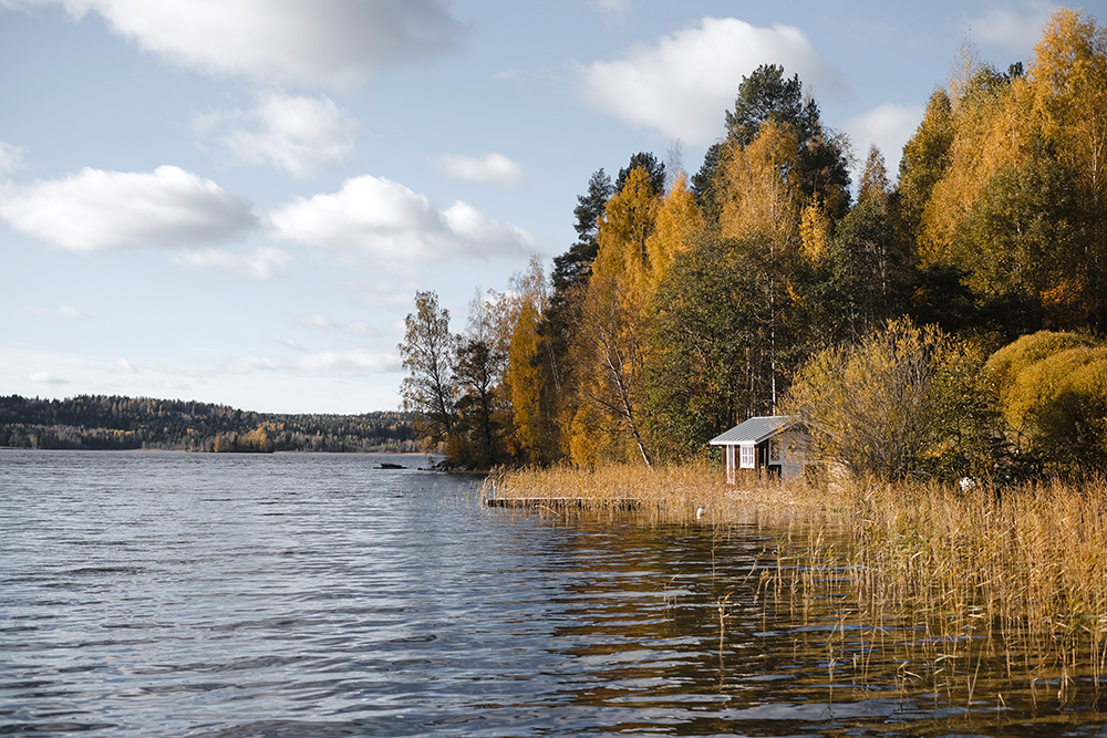 Autumn in Sweden, Nordic nature photograhy, www.Fenne.be