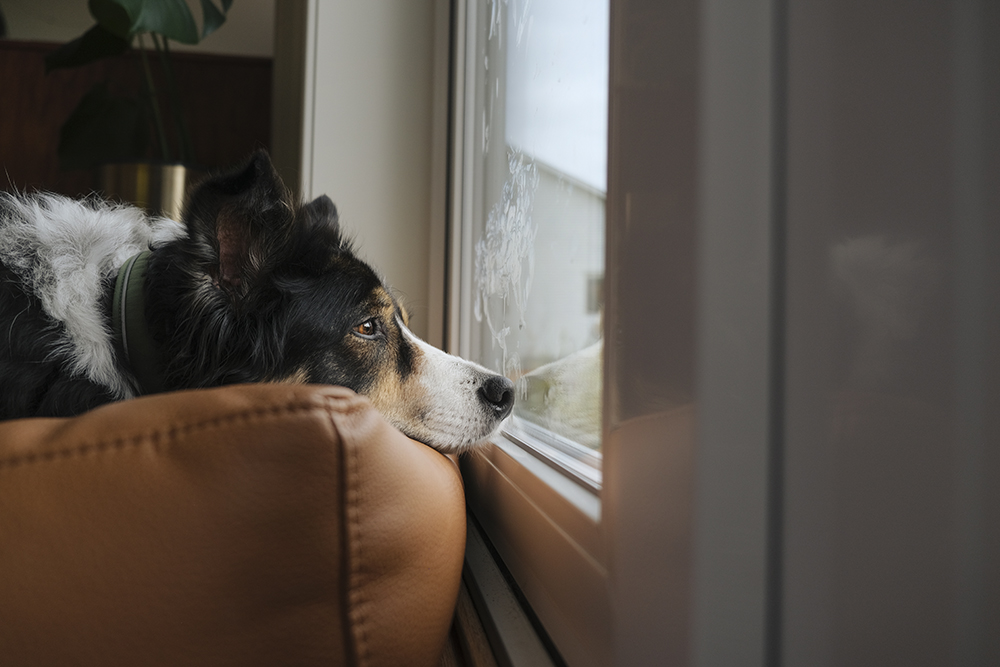Autumn in Sweden, Nordic nature photograhy, www.Fenne.be