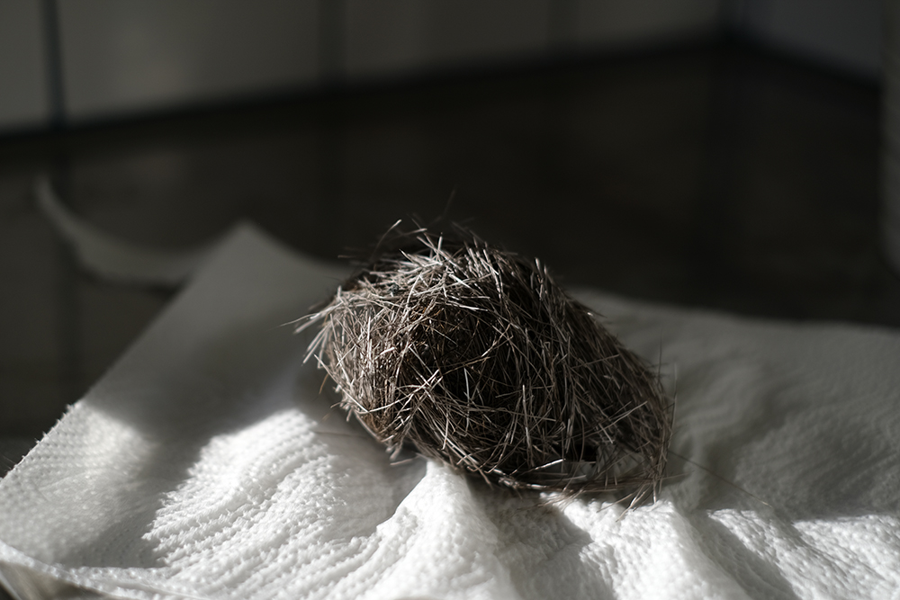 Autumn in Sweden, Nordic nature photograhy, www.Fenne.be