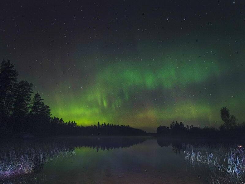 Autumn in Sweden, Nordic nature photograhy, www.Fenne.be