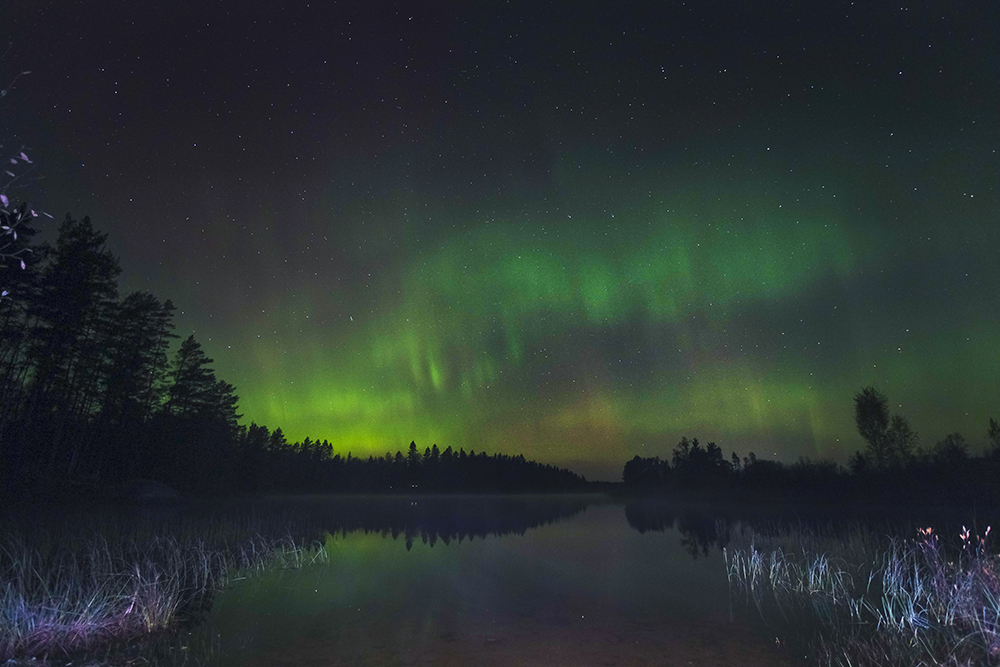 Autumn in Sweden, Nordic nature photograhy, www.Fenne.be
