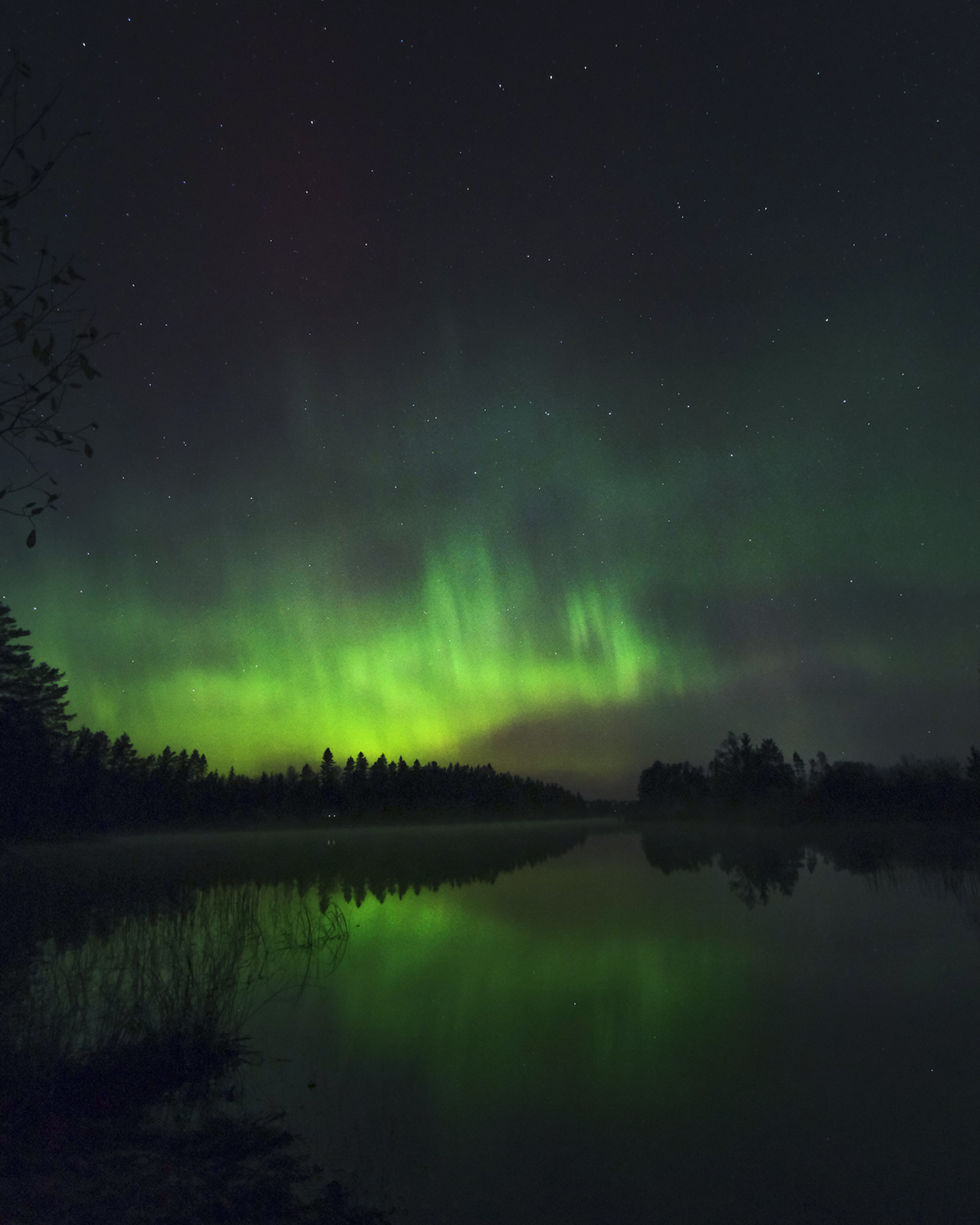 Autumn in Sweden, Nordic nature photograhy, www.Fenne.be