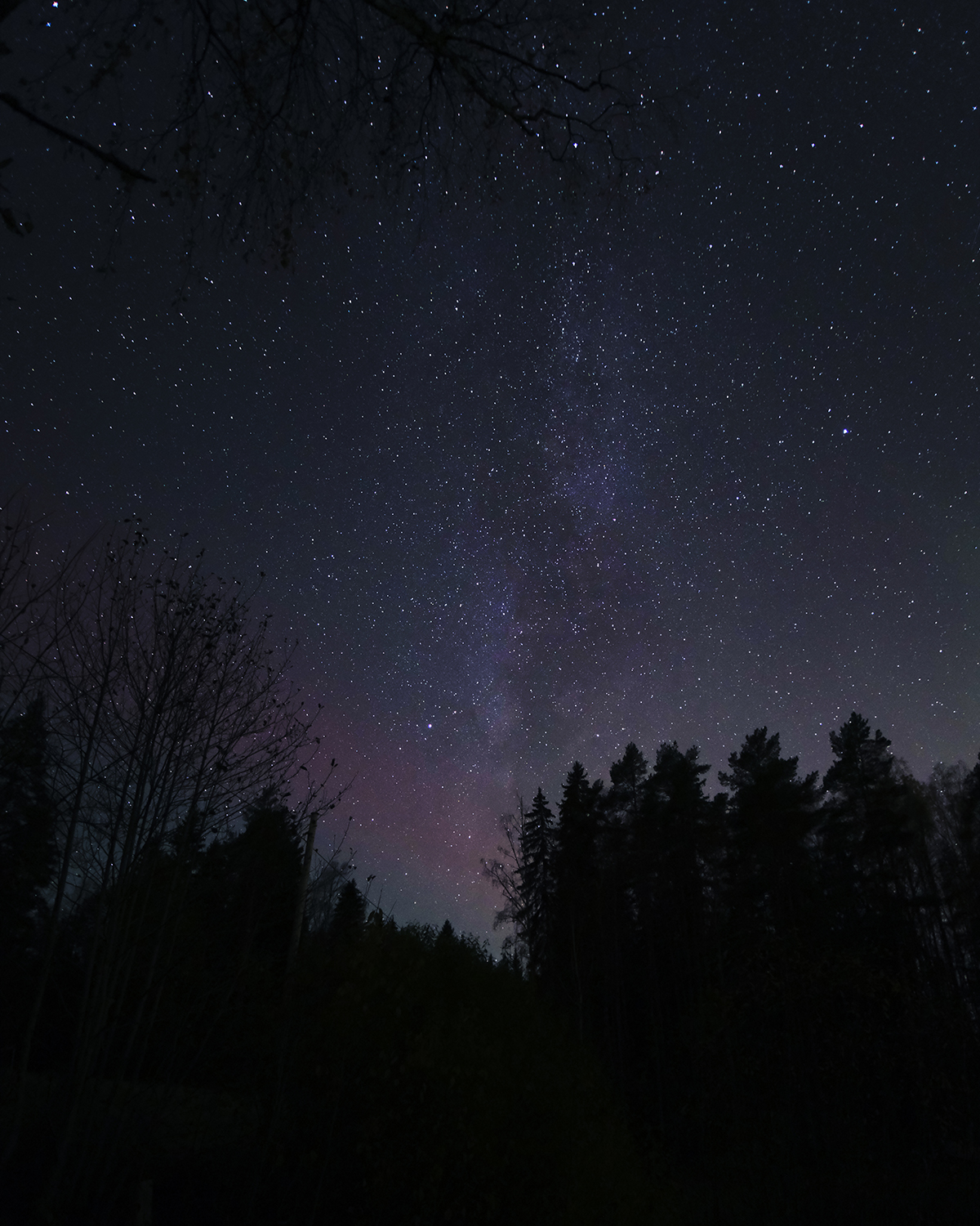 Autumn in Sweden, Nordic nature photograhy, www.Fenne.be