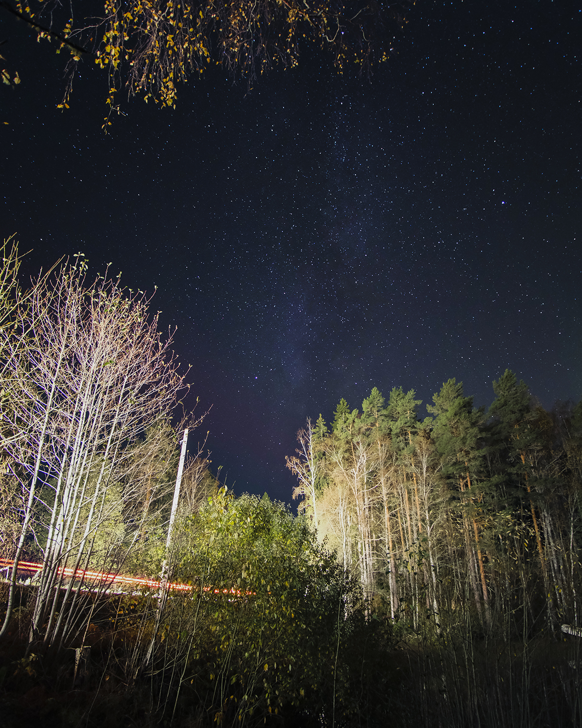 Autumn in Sweden, Nordic nature photograhy, www.Fenne.be