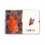 Fenne Kustermans sketchbook, Belgian illustrator in Sweden, www.Fenne.be