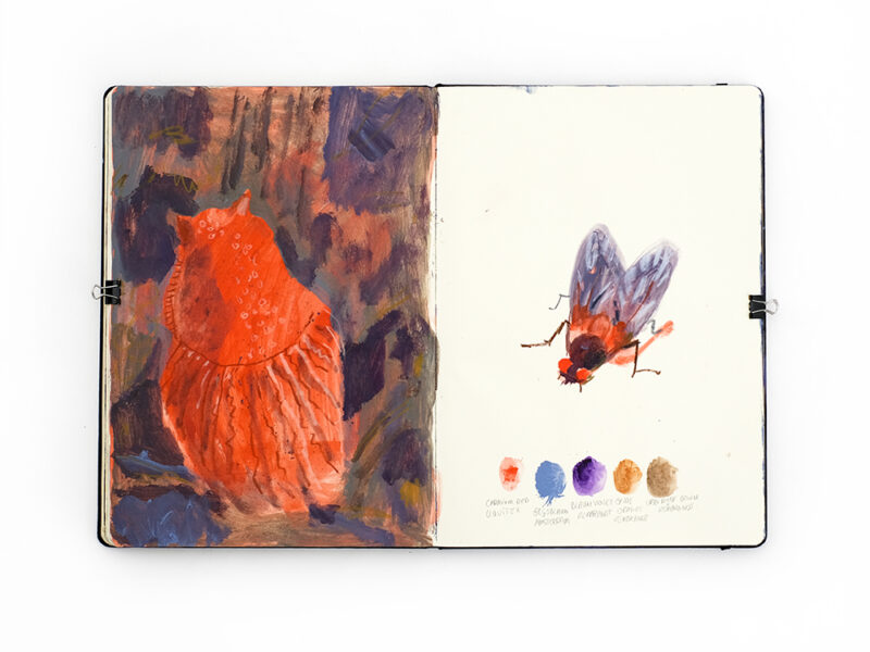 Fenne Kustermans sketchbook, Belgian illustrator in Sweden, www.Fenne.be