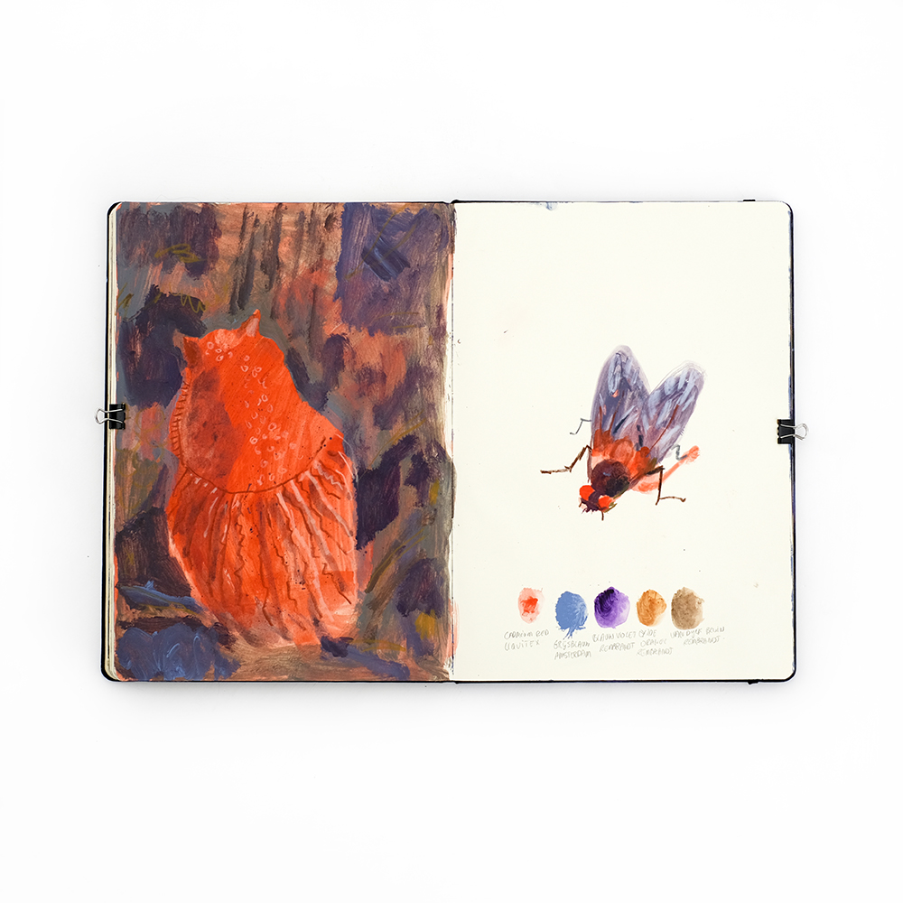 Fenne Kustermans sketchbook, Belgian illustrator in Sweden, www.Fenne.be