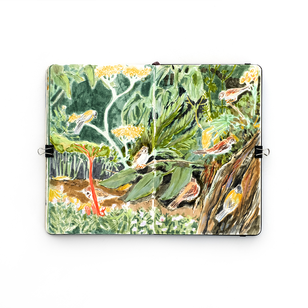 Fenne Kustermans sketchbook, Belgian illustrator in Sweden, www.Fenne.be