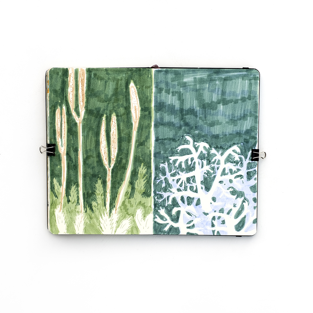 Fenne Kustermans sketchbook, Belgian illustrator in Sweden, www.Fenne.be