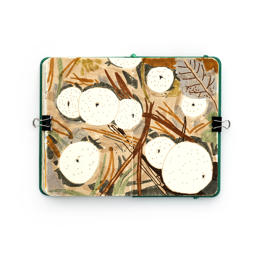 Fenne Kustermans sketchbook, Belgian illustrator in Sweden, www.Fenne.be