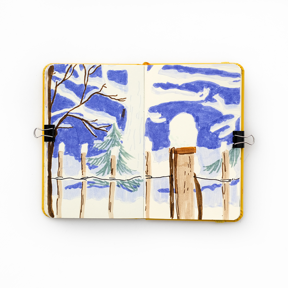 Winter sketchbook, Patreon sessions and nature drawings, www.Fenne.be