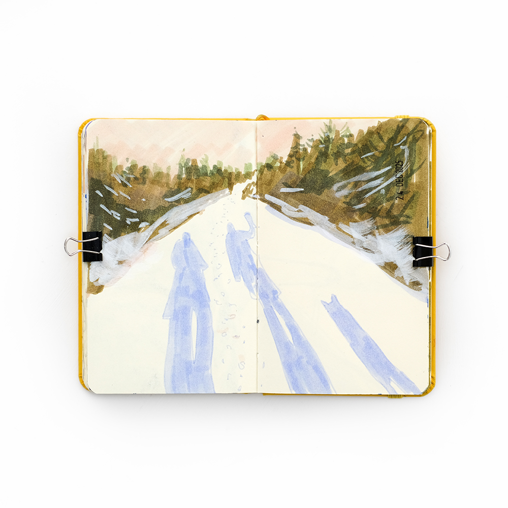 Winter sketchbook, Patreon sessions and nature drawings, www.Fenne.be