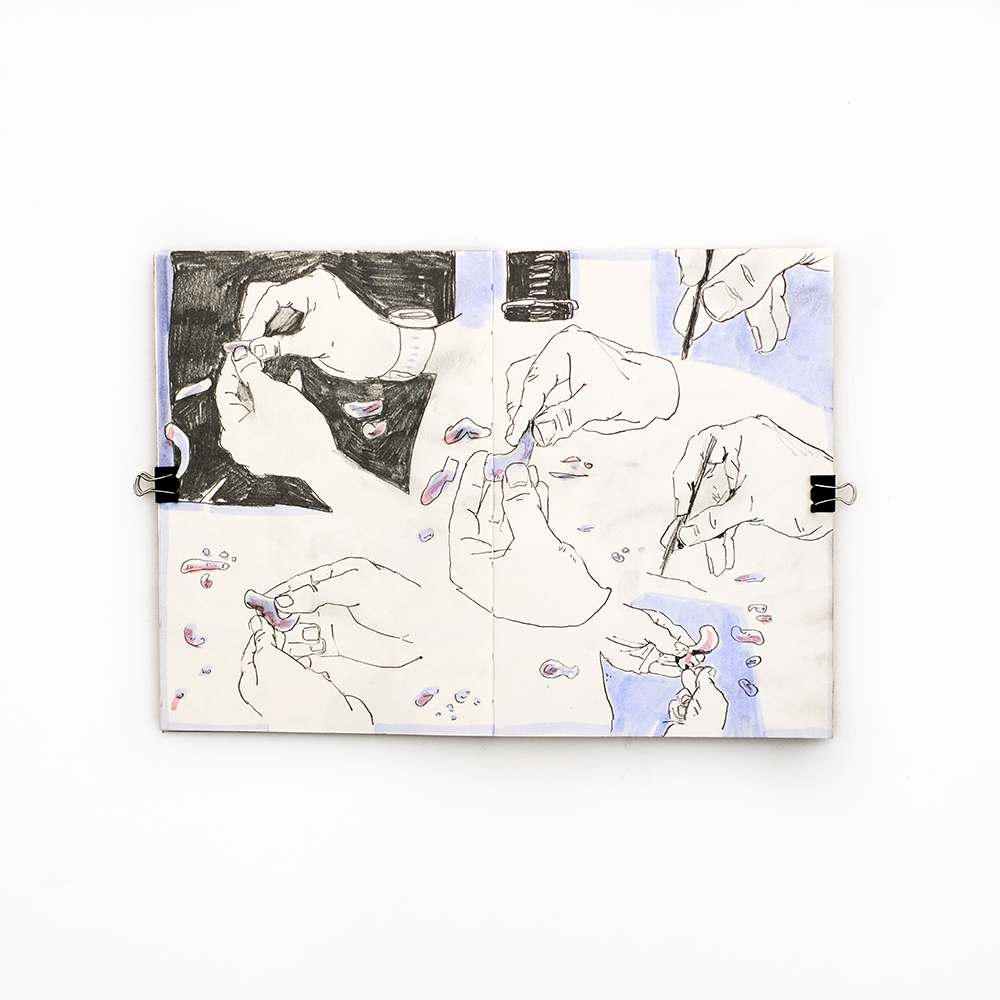 Winter sketchbook, Patreon sessions and nature drawings, www.Fenne.be