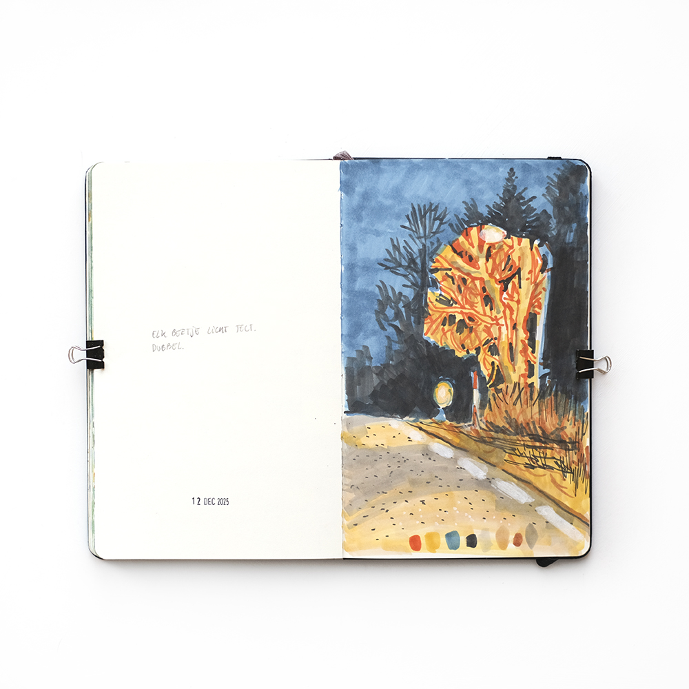 Winter sketchbook, Patreon sessions and nature drawings, www.Fenne.be