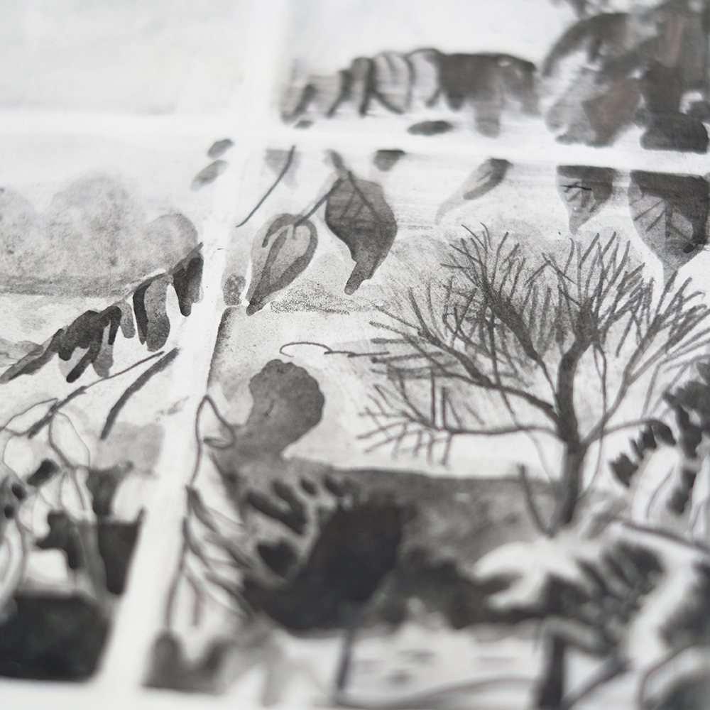 nature inspired sketchbooks and illustrations, www.Fenne.be